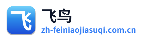 飞鸟加速器 Logo